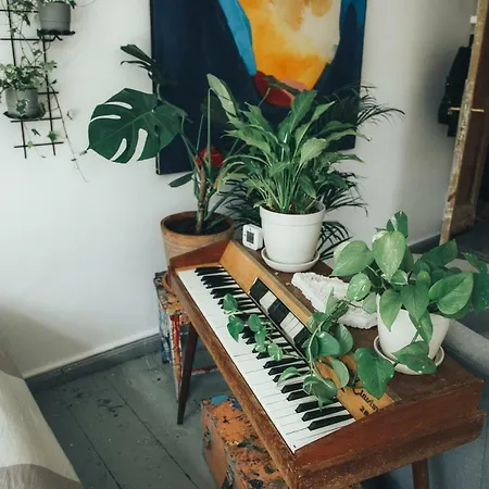 Artistic Apartament 公寓 索波特